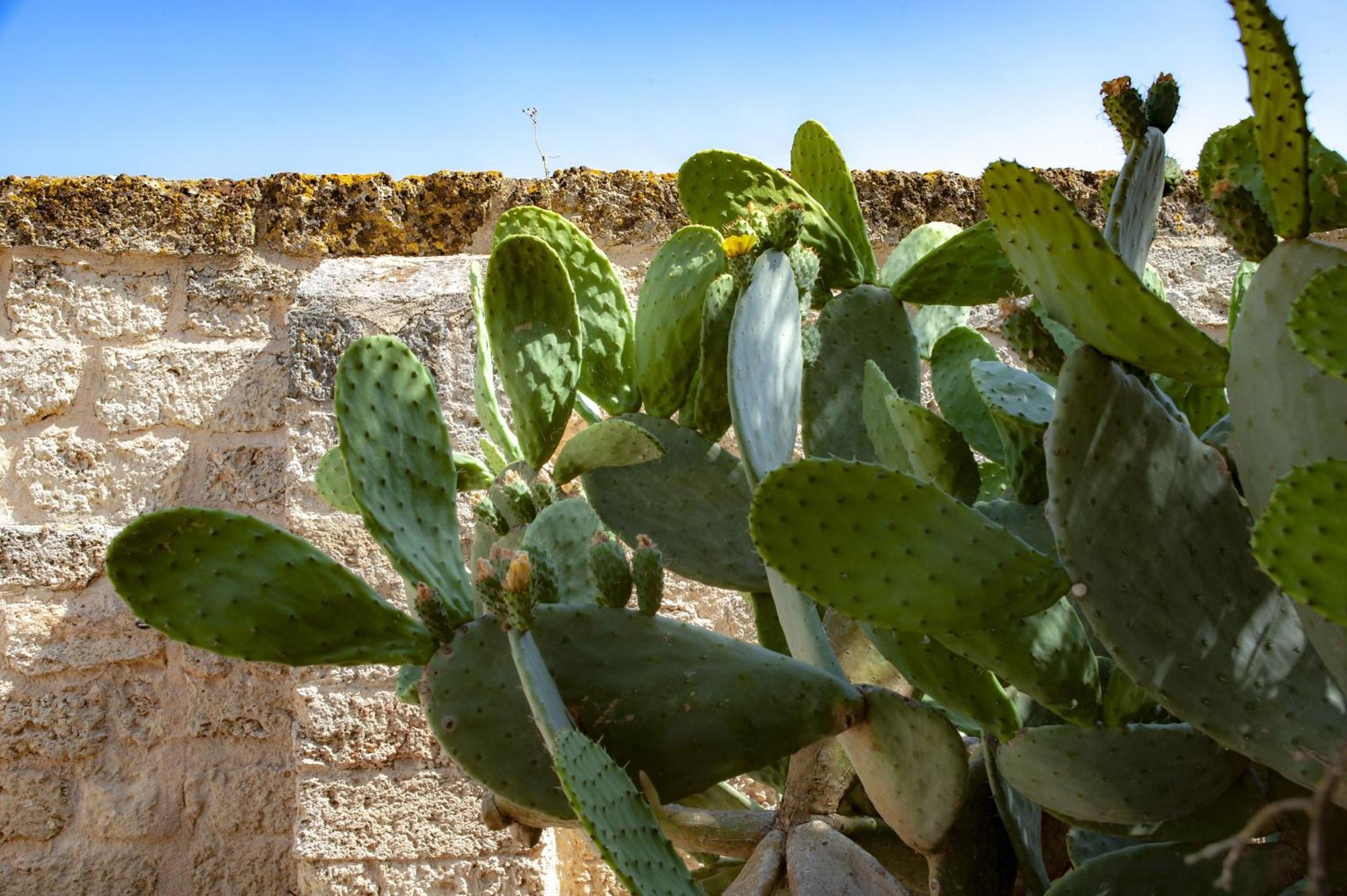 Masseria Bernardini By Symphonya Luxury Rentals Nardo Exterior photo