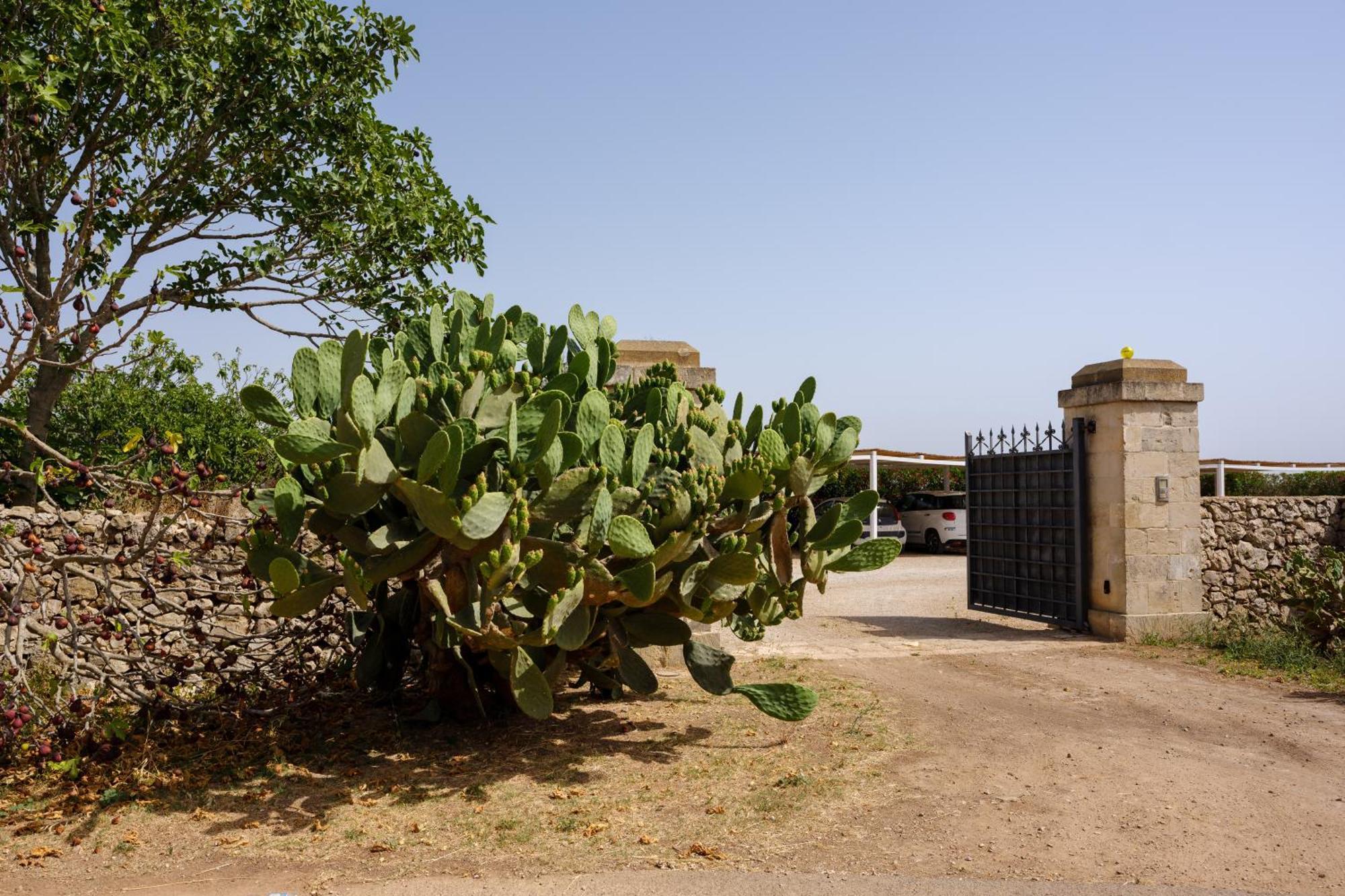 Masseria Bernardini By Symphonya Luxury Rentals Nardo Exterior photo